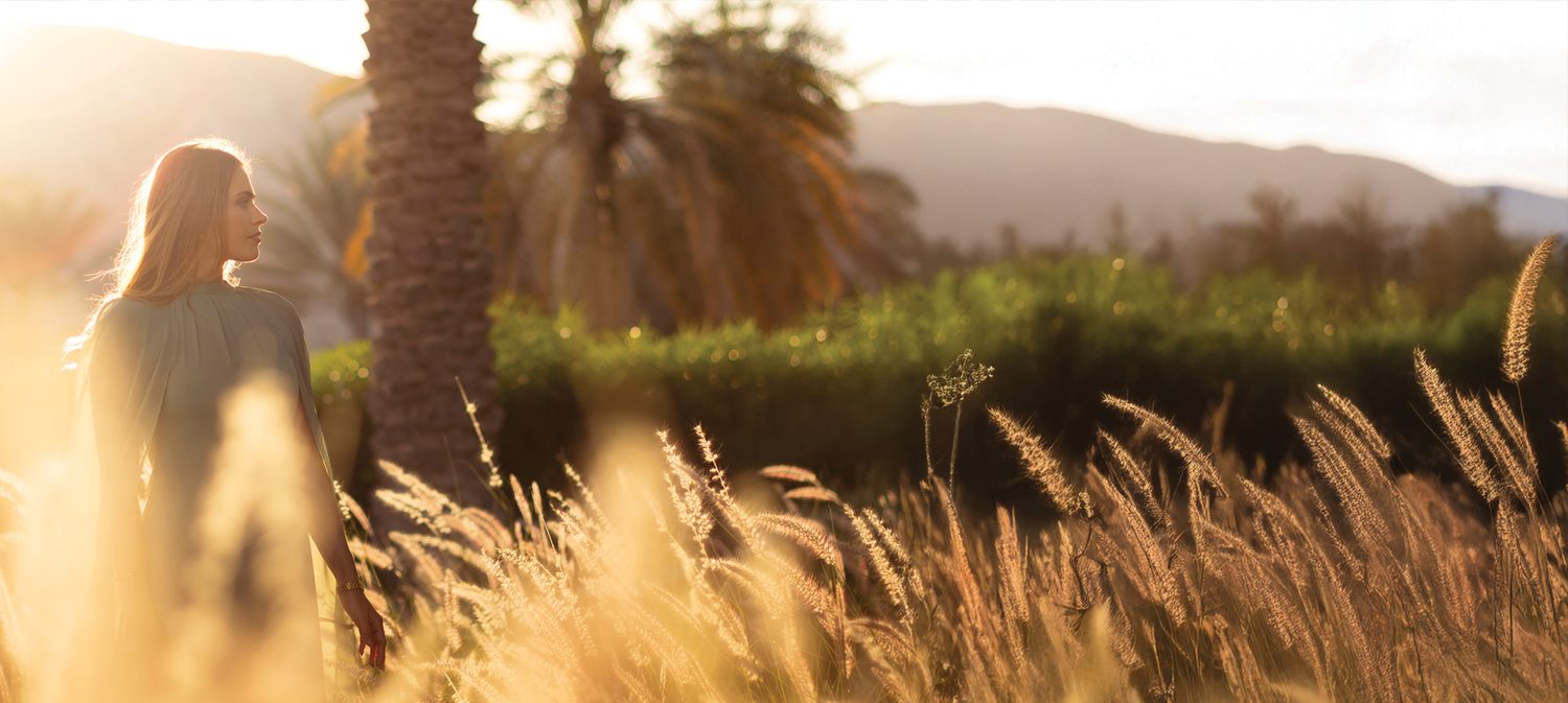 Landscaped gardens of Muscat Bay at golden hour