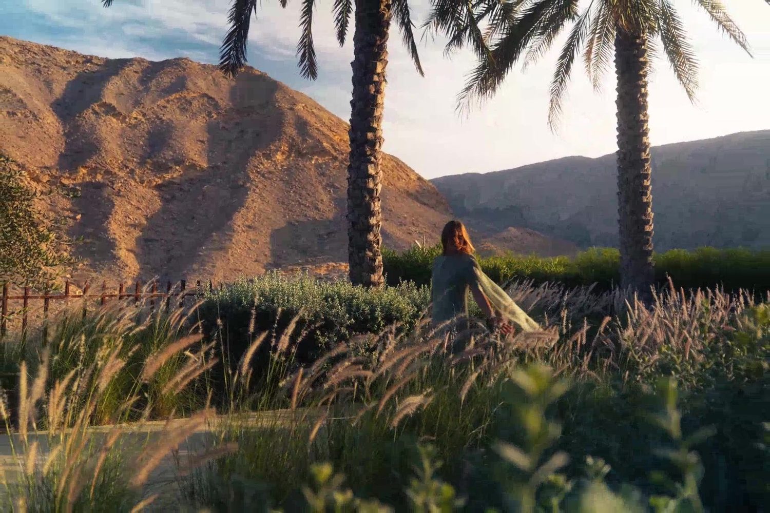 Palms and the Al Hajar Mountains at Muscat Bay